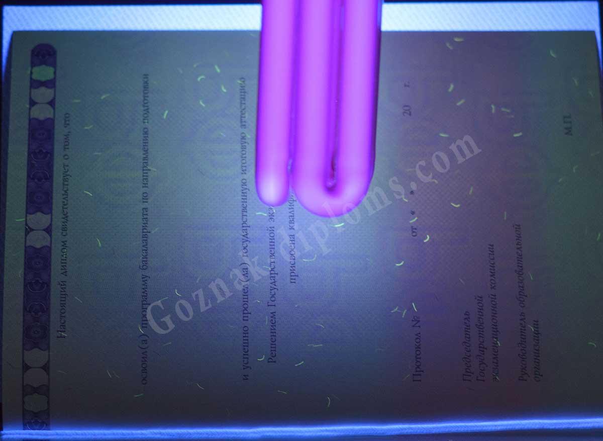 Диплом бакалавра 2014-2026